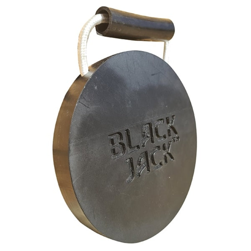 Black Jack Mini Electric Powered Trailer Jack Kit 1T